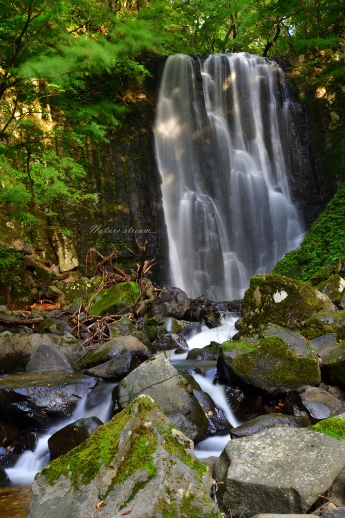 Nature stream...