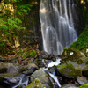 Nature stream...