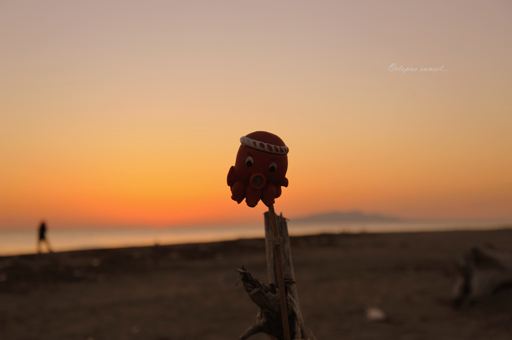 Octopus sunset...