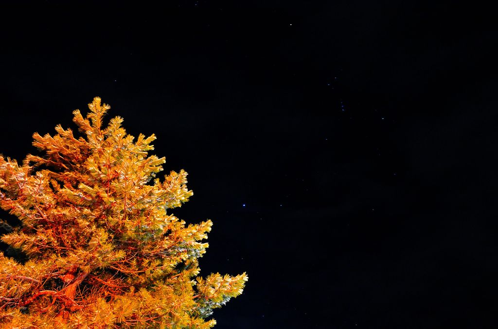 When You Wish upon a Star