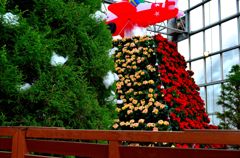 poinsettia tower