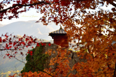 Autumn of Japan...