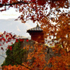 Autumn of Japan...