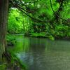 Tender stream...