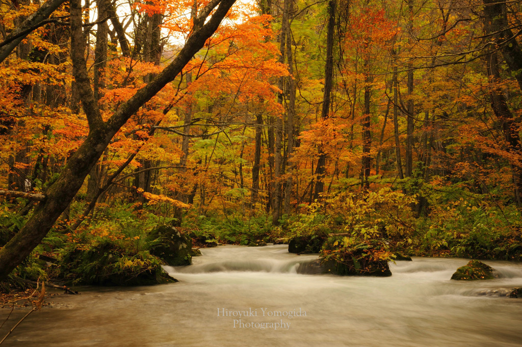 Beautiful autumn sounds...