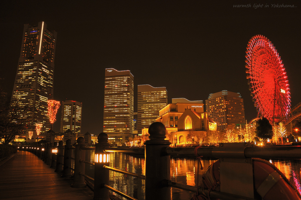 warmth light in Yokohama...