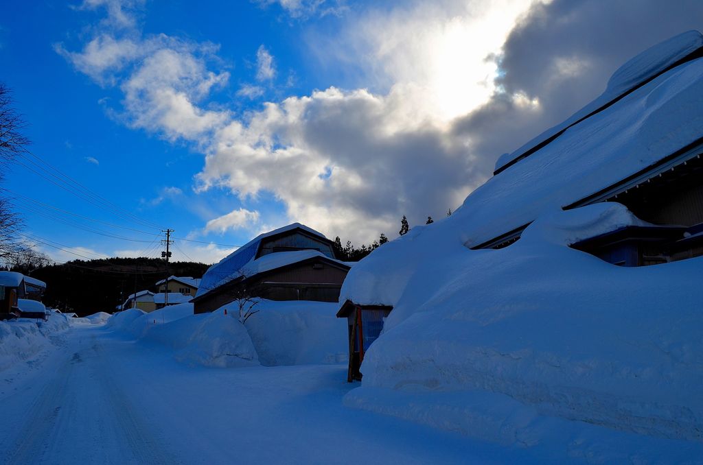 Contrastive snow scene