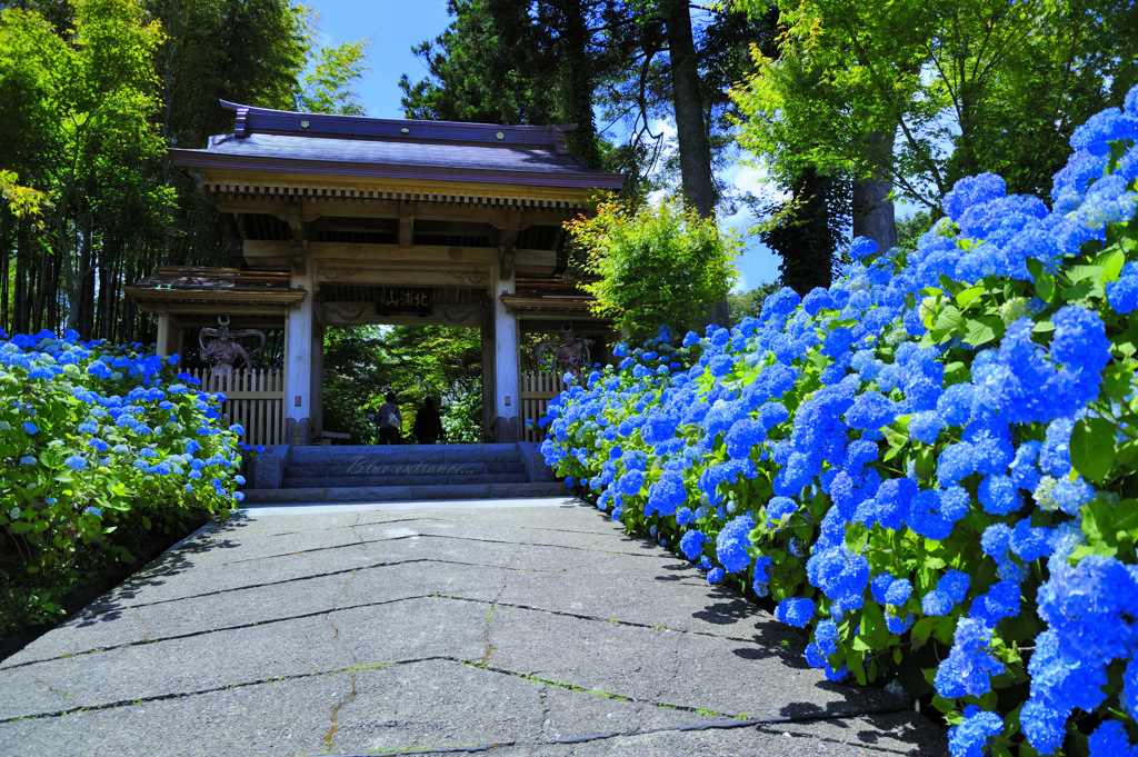 Blue entrance...