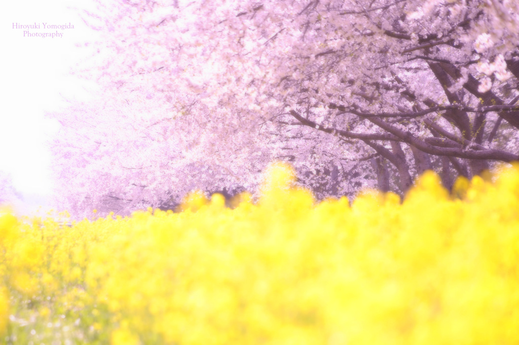 Spring color...