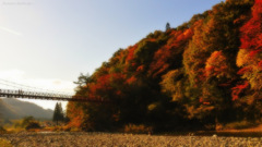 Autumn landscape...