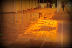 after the rain...
