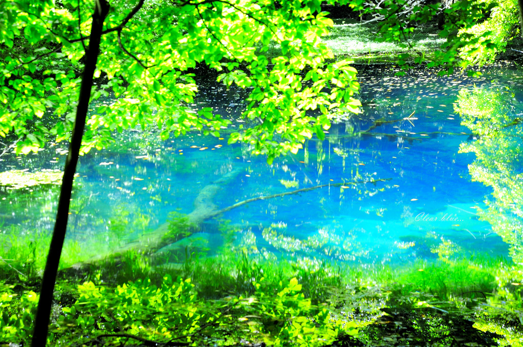 Clear blue...
