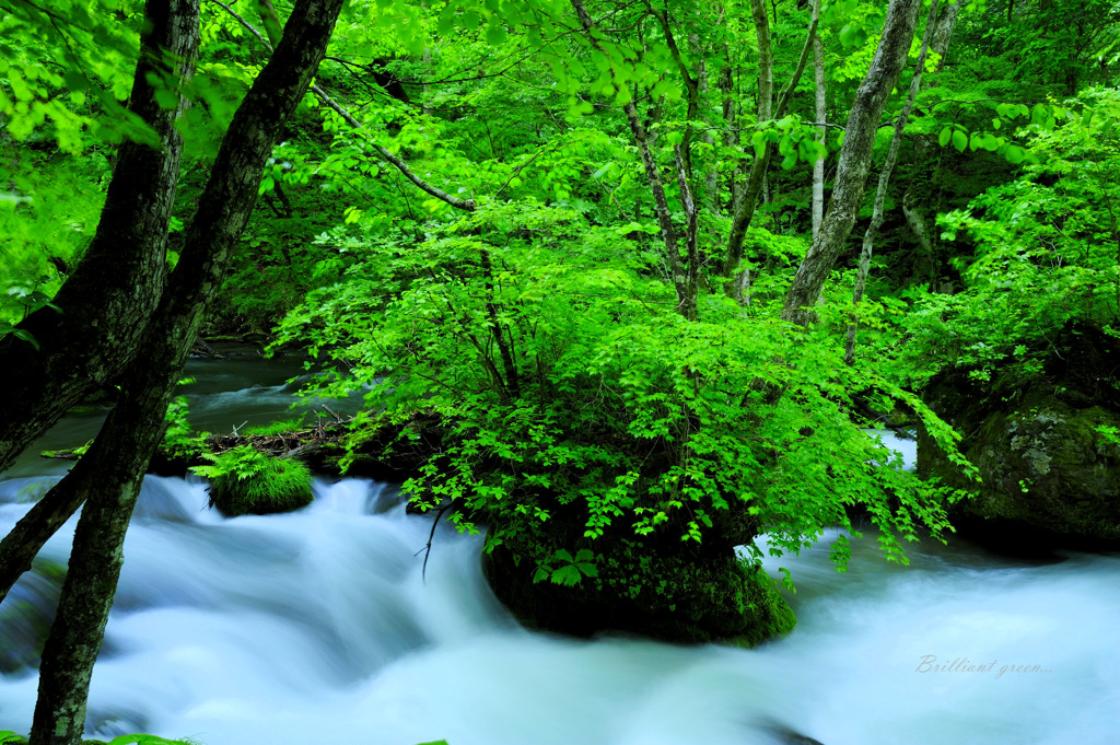 Brilliant green...
