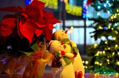 we wish you a merry christmas ^^