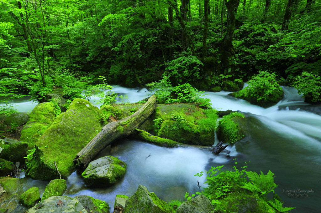 Beautiful green...