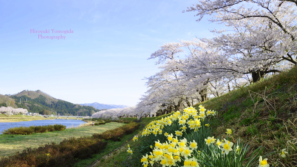 Spring in the countryside...