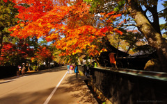 Autumn of little Kyoto...