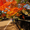 Autumn of little Kyoto...