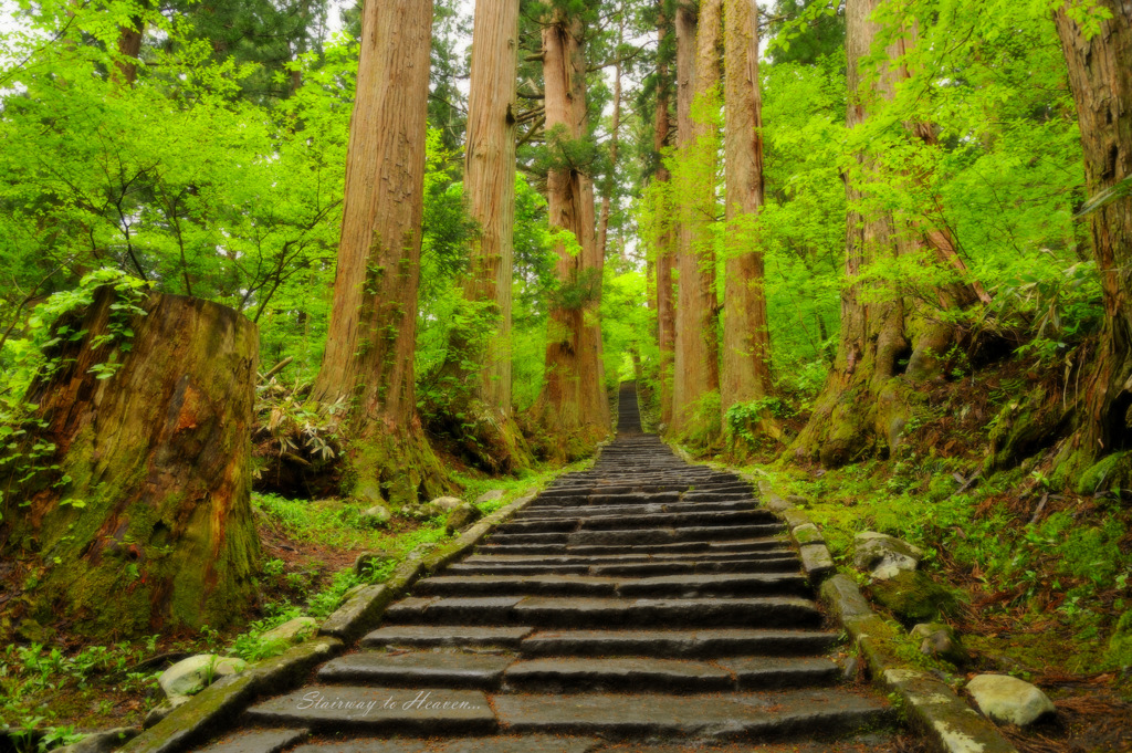 Stairway to Heaven...