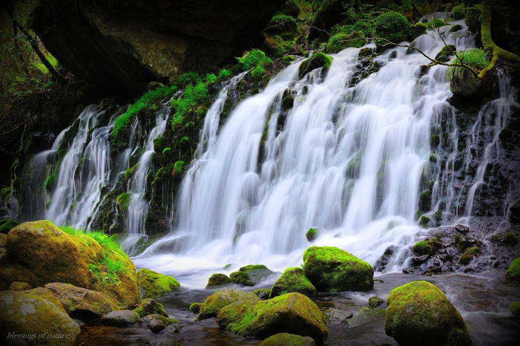 blessings of nature...