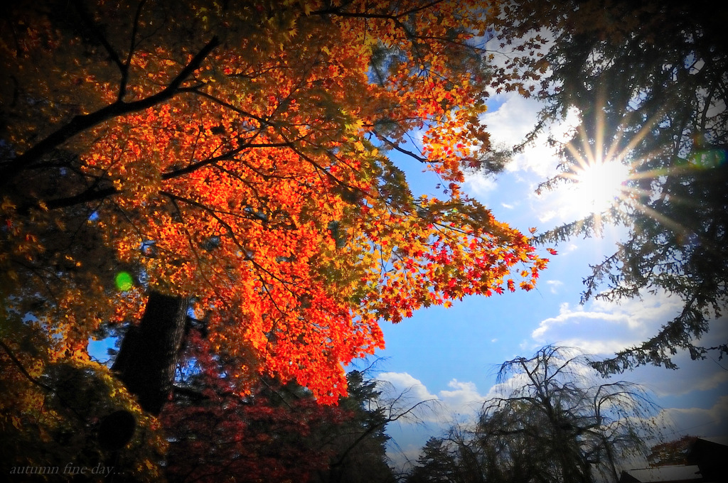 autumn fine day...