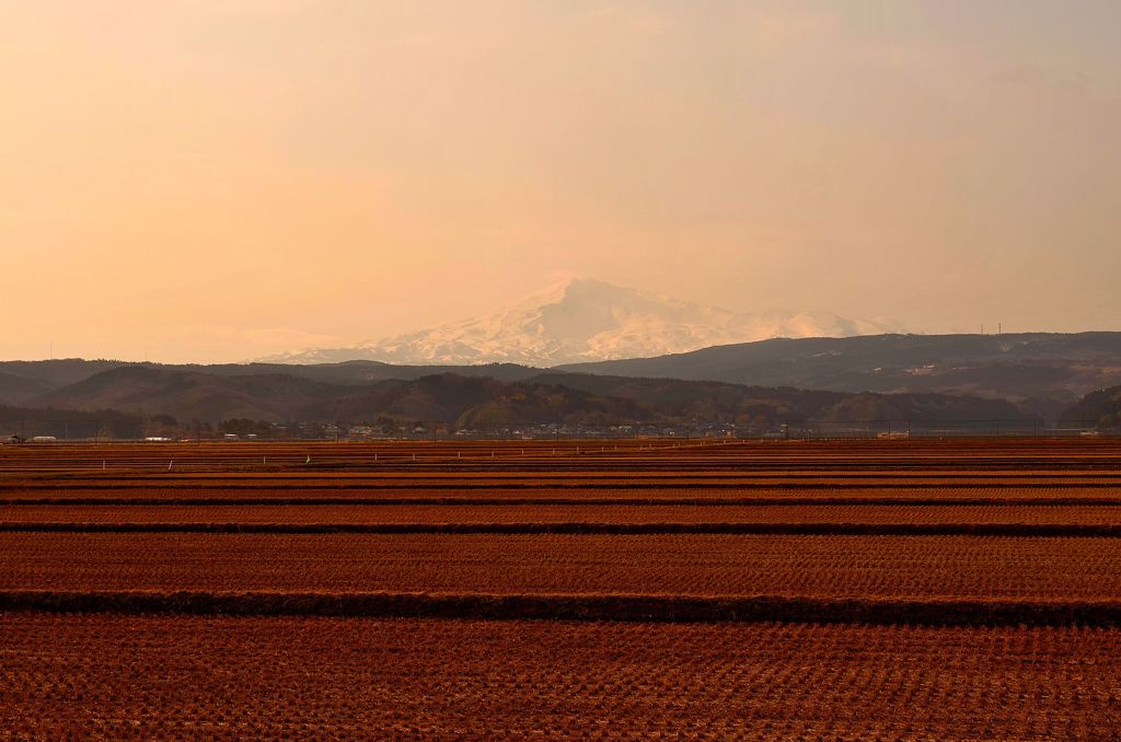 Pastoral scenery
