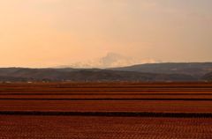 Pastoral scenery