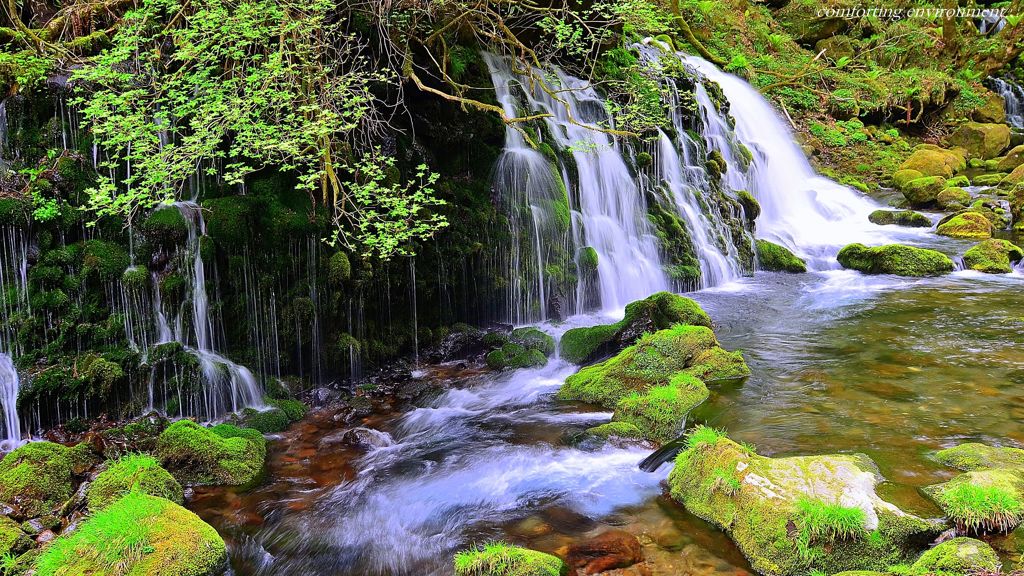 Comforting environment...