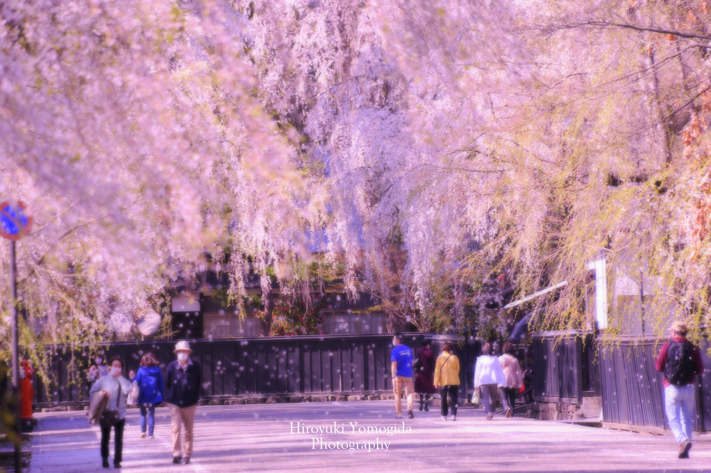 Spring moment...