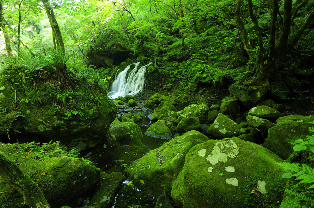 Surrounded by greenery...