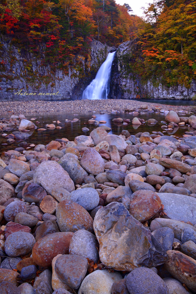 Autumn moment...