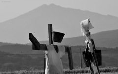 Scarecrows...