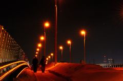 The bridge of night 