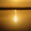 New morning...