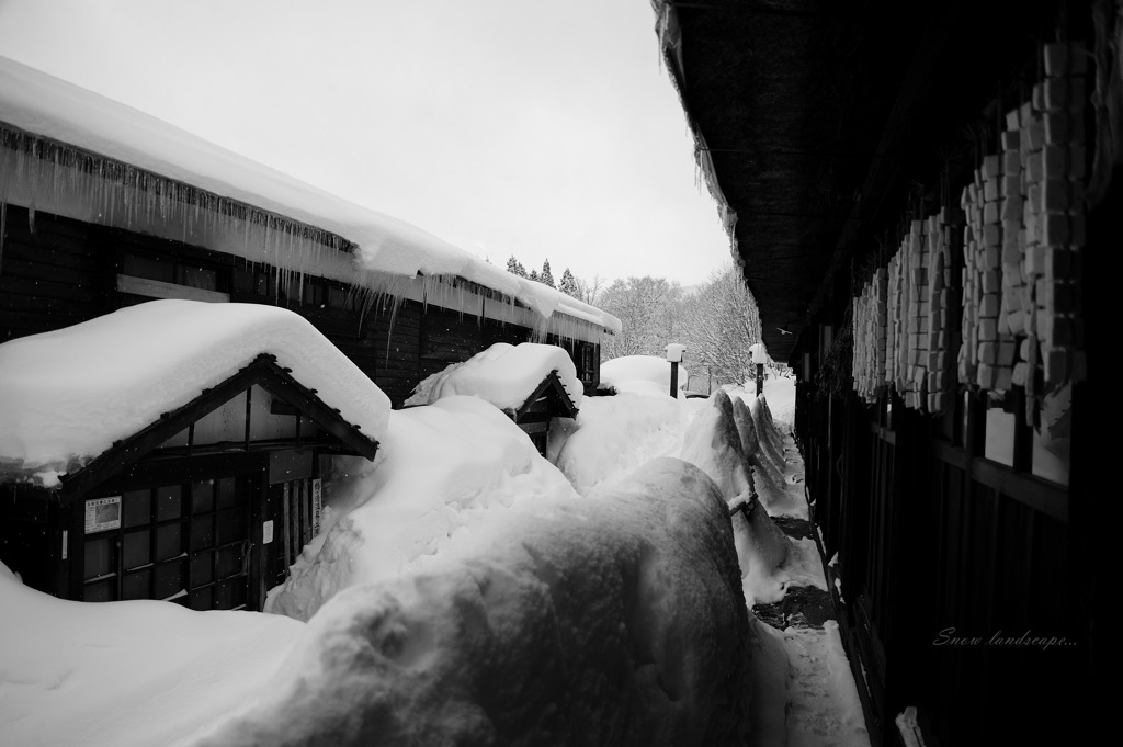 Snow landscape...