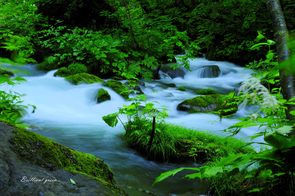 Brilliant green...