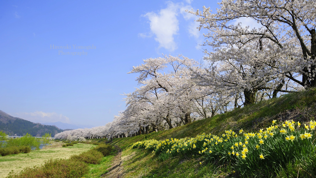 a clear and mild spring day...