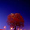 When You Wish upon a Star...