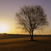 Fresh morning...