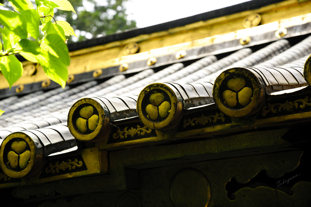 Tokugawa...