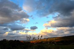The end of autumn 