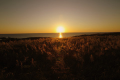 Autumn twilight...