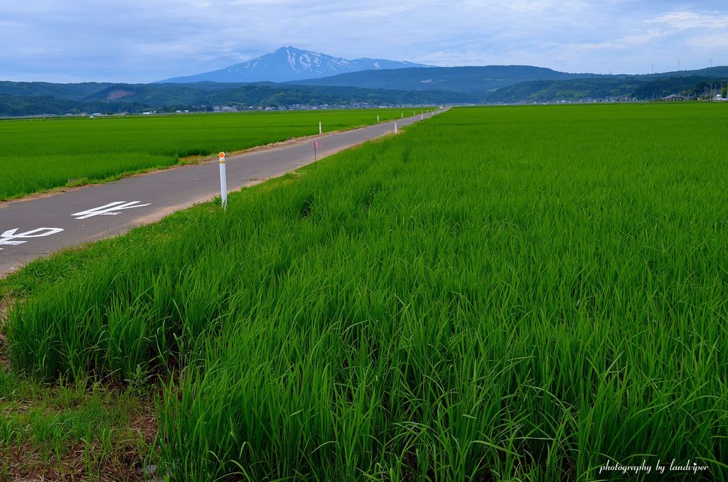 Green carpet