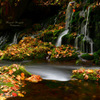 Remains of autumn...