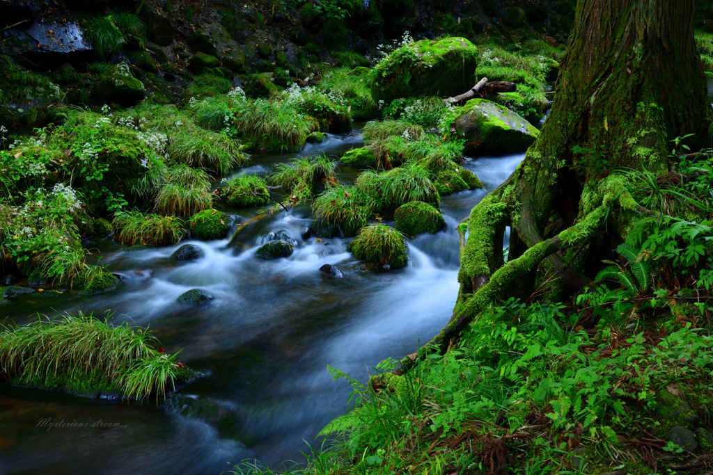 Mysterious stream...