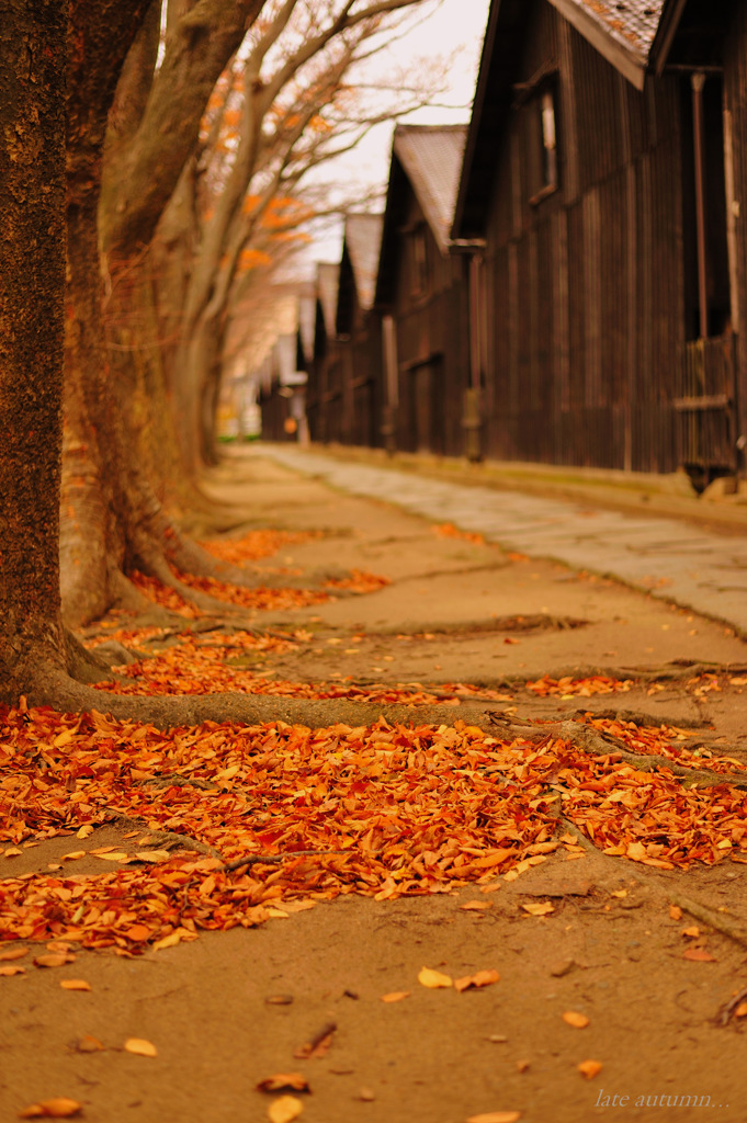 late autumn...