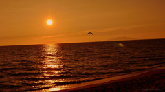 escape from reality...