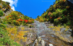 blue and autumn color...﻿