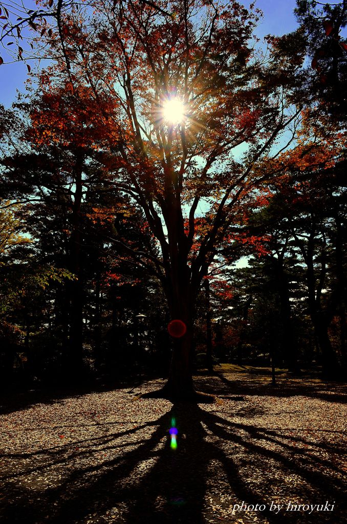 Blessings of nature
