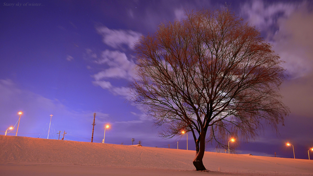 Starry sky of winter...